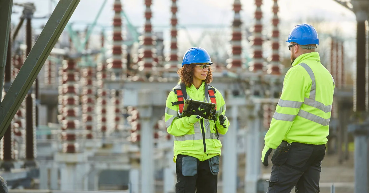 The energy transition: Flexibility and diversification