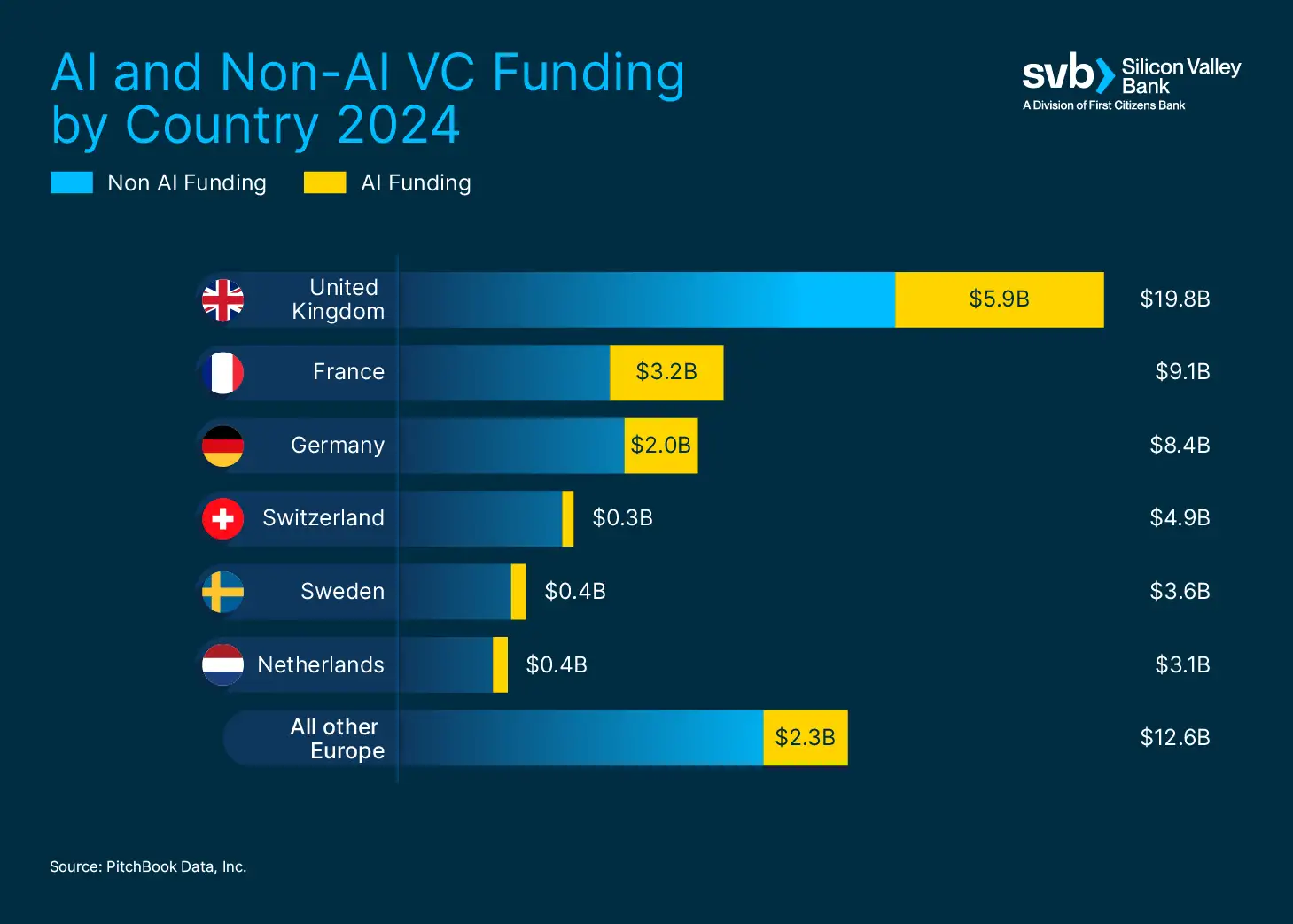 Infographic compares AI and non-AI venture capital funding by country in 2024