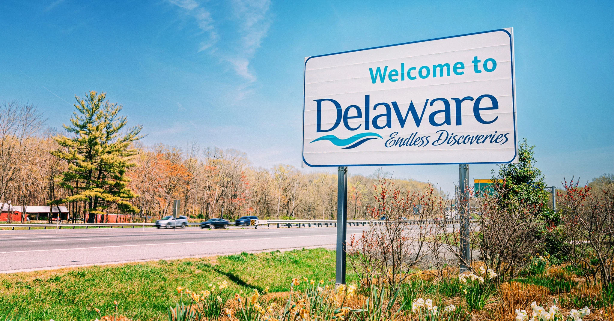 Delaware incorporation